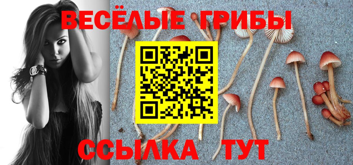 Галлюциногенные грибы MAGIC MUSHROOMS Верхняя Салда